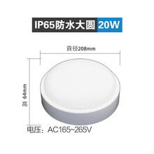 LED防潮灯防爆防水灯吸顶灯罩浴室壁灯卫生间灯户外三防灯冷库灯 IP65防水大圆【20W】