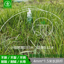 大棚骨架内棚温室塑料棚支架小拱棚拱杆蔬菜农业小工棚玻璃钢拱竿 直径4mm粗*1.5米长*40根