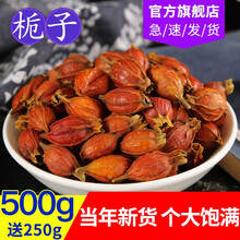 逸参堂 栀子花茶 栀子果黄栀子花茶泡茶菊苣山栀子 食用花干 栀子500g（1斤）+送250g（半斤）