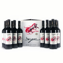 智利巴诗歌Basques红马半甜红葡萄酒  750ml单瓶双支整箱礼盒装 原瓶进口红酒 十二支整箱装750ml*12