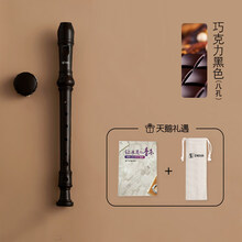 天鹅德式竖笛8孔6孔儿童小学生入门初学练习高音八孔六孔笛子乐器 【8孔竖笛黑色+收纳袋+指法说明+清洁棒】