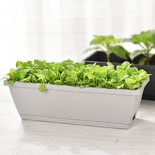 花沃里 种菜盆(约12L土/盆)阳台种植盆 种子育苗玫瑰月季香葱香菜蔬菜花卉树脂花盆 灰白色一体花盆(大号)