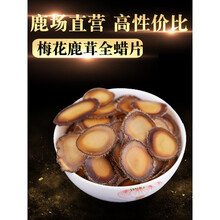 吉林梅花鹿鹿茸片全蜡片含血腊片正宗纯腊片5克滋补泡酒鹿场直供