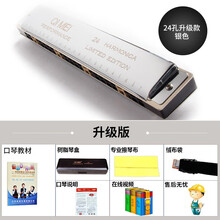 奇美口琴24孔复音C调专业演奏口琴初学儿童练习入门口琴 【升级款】复音C调口琴 银色+琴盒