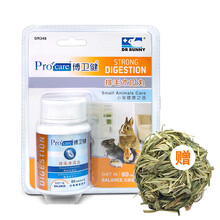 兔博士兔子化毛膏营养膏排毛营养品乳酸菌益生菌博卫健兔子仓鼠龙猫荷兰猪保健品兔子用品DR Bunny 木瓜排毛丸60粒