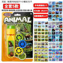 儿童早教识图投影仪手电筒儿童睡前投影灯迷你投影手电筒故事安抚灯发光恐龙动物图案幻灯片小手电投影片玩具 手电筒1+15投影片【默认全套】