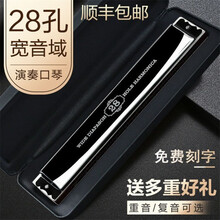 swan天鹅德国进口音簧28孔复音c调重音口琴高级成人入门初学者专业演奏级口琴 黑色重音+自学礼品免费刻字【舞台演奏或伴奏】