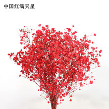 ins风干花花束家居摆设小清新客厅插花网红装饰品满天星永生花SN9874 中国红满天星