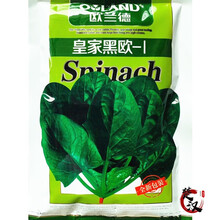 一播大地 大叶菠菜特色菠菜种子紫菠菜 红菠菜种子黑叶菠菜 菜籽 阳台种菜 盆栽 高出芽率精装 皇家黑欧-1菠菜种子原装300g