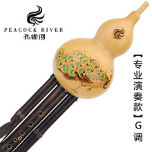 孔雀河（PEACOCK RIVER） 专业演奏型金竹葫芦丝降B调天然紫竹小D调 C/G/F调云南乐器 专业演奏款【傣韵丝音】G调+礼包