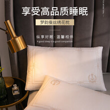 枕头枕芯家用单人夏季护颈椎不塌陷不变形梦韵蚕丝绣花枕 梦韵蚕丝绣花枕单只