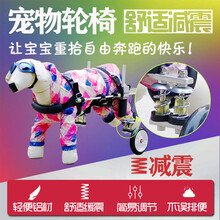 狗狗后腿残疾助力车轮椅瘫痪残疾狗泰迪金毛后肢前肢辅助狗猫康复宠物轮椅 中型犬—大号（需补运费）