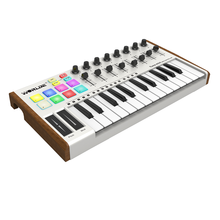 midi键盘 worlde-PANDAmini25键midi键盘打击垫音乐编曲键盘电音迷笛控制器 Tuna mini版