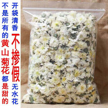 【当天发货】贡菊花茶10克500新白菊花散装白菊胎菊王花草茶 试喝黄山贡菊10克