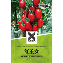 百萌（BAI MENG）红圣女果种子瀑布小樱桃小番茄高产蔬菜西红柿种籽孑盆栽黄圣女果蔬菜籽 红圣女番茄种子 1克 厂商封装