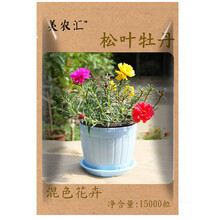 花种子四季播易种易成活格桑花卉种籽阳台盆栽矮杆多年生混色室内花卉种孑重瓣向日葵种子 松叶牡丹15000粒(太阳花)