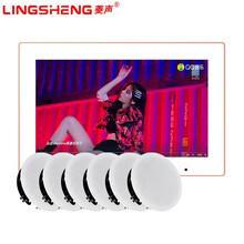 菱声（LINGSHENG） 智能家庭背景音乐主机系统套装家庭影院音响组合无线蓝牙吸顶喇叭吊顶音箱 TL-JX101主机+6个喇叭套装