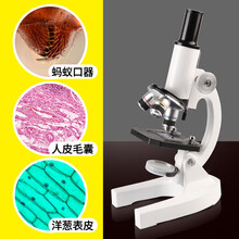 光学显微镜儿童 专业中小学生2400倍生物科学小实验器材套装高倍steam男孩女孩玩具 1600倍【赠40件实验礼包】