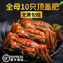 【活蟹】鲜木 盘锦河蟹鲜活母蟹10只顺丰稻田蟹毛蟹礼盒 具体规格看属性 下单预定 (1.9-2.2两)8只全母