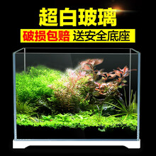 森森 鱼缸小型超白玻璃水族箱生态水草缸桌面金鱼缸 420裸缸+底座