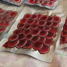 梅花鹿现切鹿茸片整只梅花鹿鹿茸煲汤泡酒10克需加酒保鲜发货滋补泡酒料 50g鹿茸片