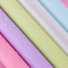 拜杰 鲜花包装纸20张装 生日礼物五色防水雾面纸半透明DIY花束花艺包花纸 LP-68