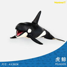玩模乐海洋动物模型 仿真鲸鱼抹香鲸虎鲸座头鲸海豚独角鲸蓝鲸布氏中喙鲸 儿童认知玩具3-10岁 虎鲸