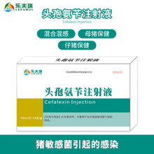 乐夫瑞 兽药抗生素头孢氨苄注射液猪链球菌副猪嗜血杆菌产后炎症猪肺疫