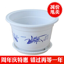 玖枝苑 批发优质塑料花盆 白色圆形简约花盆 阳台种花种菜多肉育苗盆含托盘 250型-口径23.5厘米 送托盘