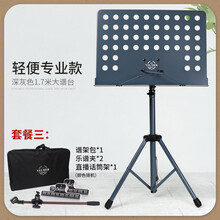 乐谱架琴谱架便携式家用吉他谱架小提琴古筝架子鼓升降谱台琴架稳 轻便款1.7米灰色+乐谱夹+谱架包+话筒架