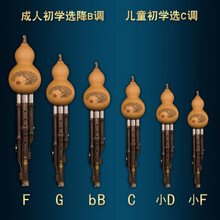 云南紫竹葫芦丝小学生成人初学演奏型乐器 楠竹防摔款-C调