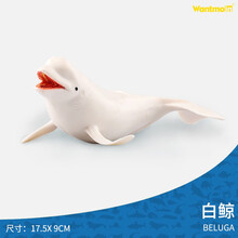 玩模乐海洋动物模型 仿真鲸鱼抹香鲸虎鲸座头鲸海豚独角鲸蓝鲸布氏中喙鲸 儿童认知玩具3-10岁 白鲸