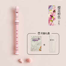 天鹅德式竖笛儿童小学生入门初学练习 【6孔竖笛粉色+收纳袋+指法说明+清洁棒】