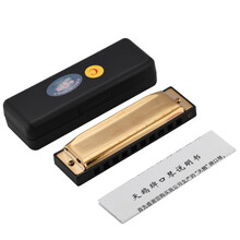 【支持刻字】天鹅10孔布鲁斯口琴男 C调儿童初学者学生蓝调十孔入门小囗琴乐器 金色