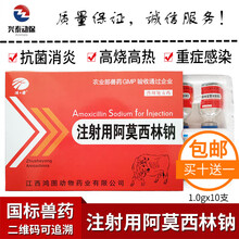 注射用阿莫西林钠粉兽用粉针注射液猪牛羊猪丹毒产后感染
