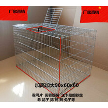鸽子笼特大号阳台鸽笼养殖笼鸽子笼子鸽子配对笼鸽子运输笼子 90长60高60宽加大款双开门 L-大型