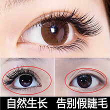 【韩国黑科技，30天不长包退】眼睫毛增长液睫毛膏女自然生长眉毛浓密纤长卷翘滋养毛囊睫毛生长液男女可用 1支装体验装【唤醒毛囊 滋养睫毛】