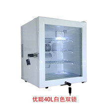 优聪30L40L学校幼儿园食品留样柜保鲜冷藏箱酒店客房冰箱带单双锁 40L白色双锁（410*430*510）