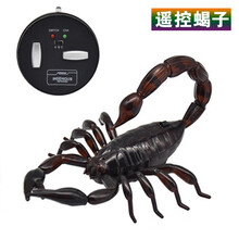 玩控电动遥控仿真蛇玩具动物模型整人整蛊道具 遥控蝎子