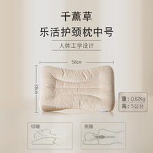 千薰草 便携式网红小枕头出差旅游行枕芯单人办公室水洗不变形午睡枕心 优雅米(中)