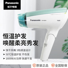 松下（Panasonic）电吹风机EH-ND53家用大功率吹风筒恒温护发便携可折叠 EH-ND54绿色
