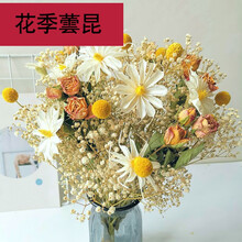 不会凋谢的满天星北欧ins小清新干花束组合向日葵棉花满天星真花桌面家居装饰摆件 (文心兰/狂欢)组合 不含花瓶 干花包