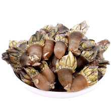 佛手螺特大 商品搜索 京东