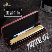 德国进口音簧天鹅28孔重音高级成人口琴专业演奏级二四孔复音C调初学者学生儿童自学乐器 【演奏级】28孔金色重音+学习资料+电子视频