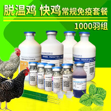 鸡疫苗套餐 土鸡种鸡 鸡瘟 新城疫 传支 鸡痘 禽流感 霍乱法氏囊 西蜀农大 脱温鸡快大鸡1000羽常规免疫套组