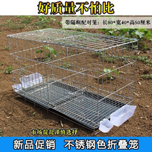 鸡笼子特大号鸡笼子家用不锈钢色养殖场专用笼特大号鸽子兔笼子折叠加粗笼子 粪盘+2食盒2砂杯+1草窝 带隔断80*40*50厘米