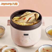 九阳 （Joyoung） 电炖锅 电炖盅 3L大容量 紫砂养生全自动 预约家用电砂锅 煮粥煲汤锅 DG30Z-GD501
