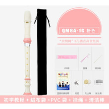 6孔8孔竖笛乐器初学入门小学生儿童高音德式英式六孔八孔笛子 (情树8孔)粉色|高音+【吹奏说明】