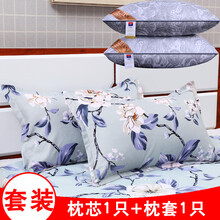 一套枕头套和枕，心枕头单人带枕套枕头枕套套装一对装成人护颈枕学生床枕头一只装 春光锦绣【枕芯1只+枕套1只】