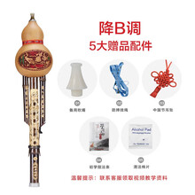 舒弗（LACHOUFFE）防摔葫芦丝乐器初学者C调小d天然成人入门零基础小学生 经典款降B调【送礼包，无皮盒】